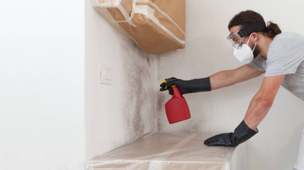 Professional Bathroom Mold Removal technician working in Deal, NJ