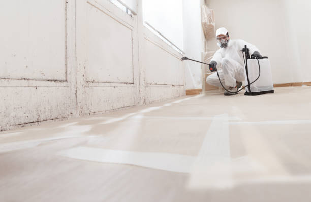 24/7 Emergency Bathroom Mold Removal experts in Deal, NJ